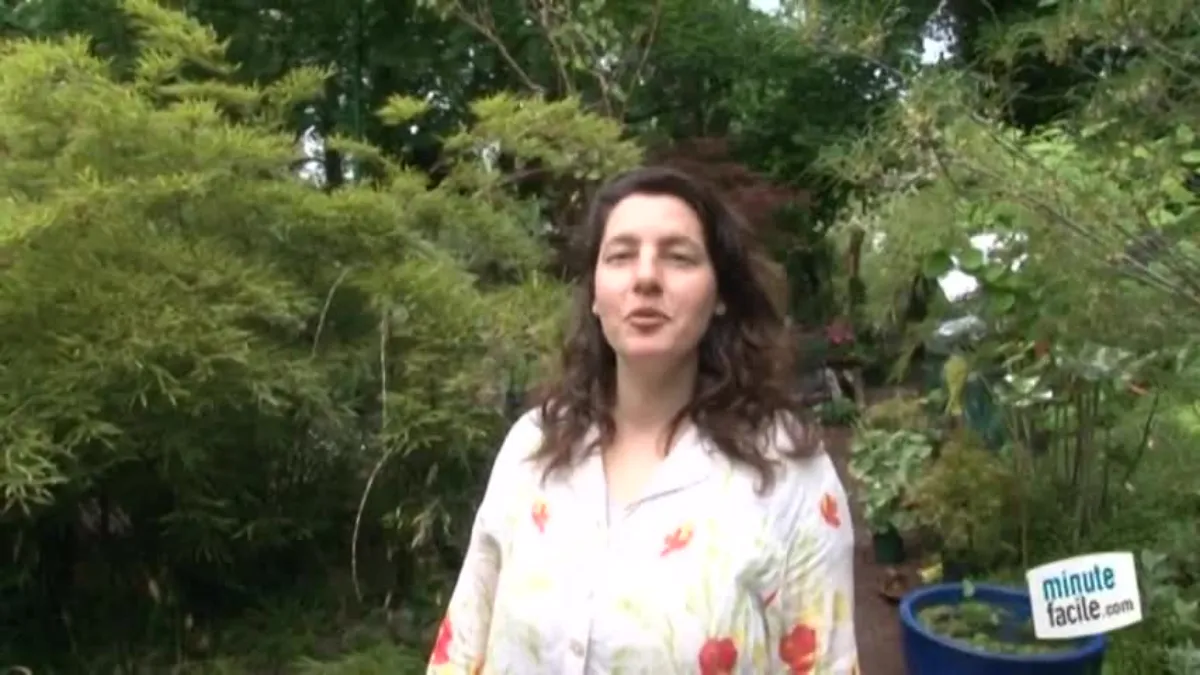 Traitement naturel pour les plantes du jardin